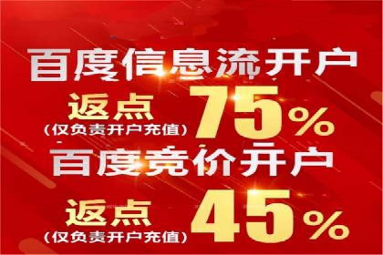 案例解析：竞价代运营如何实现高效广告投放